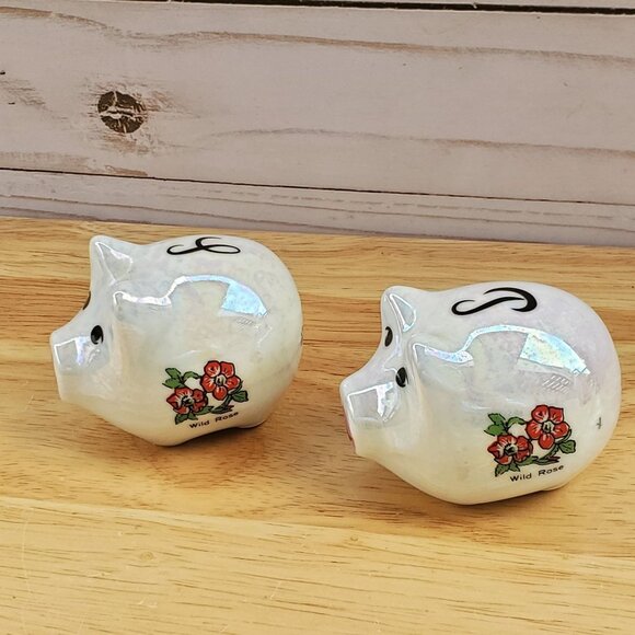 Vintage 1960s Lipco Iowa Hawkeye State Pig Salt & Pepper Shakers Ceramic Iridesc - Picture 11 of 16